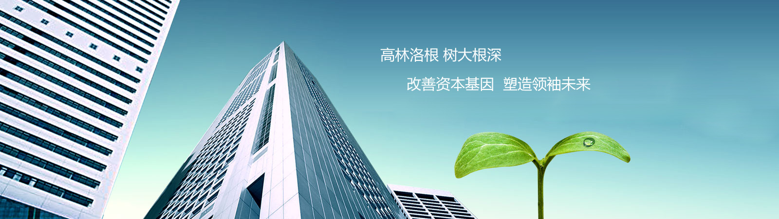 flash轮播特效图片1